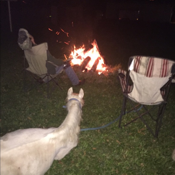 Meet your Posher, Riley - Picture 1 of 1