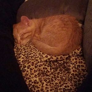 Meet your Posher, Kelsey