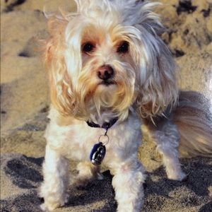 Meet your Posher, Ali