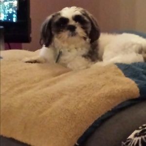 Meet your Posher, Paulette