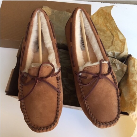 Ugg Dakota Ugg Dakota