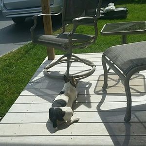 Meet your Posher, Marla