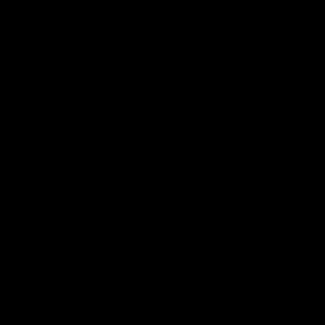 Meet your Posher, Annaliese