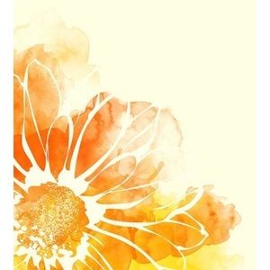 Meet your Posher, Lyubov