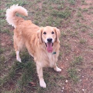 Meet your Posher, Whitney