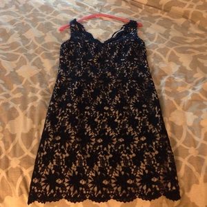 Ann Taylor knit lace dress