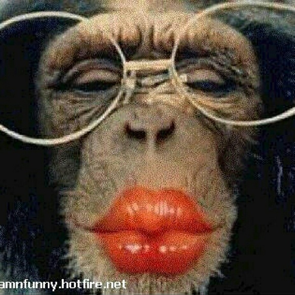 Meet your Posher, Jennifer - Picture 2 of 3