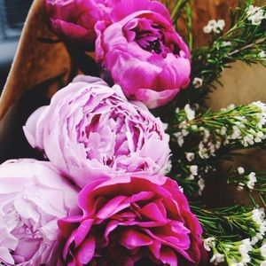 Meet your Posher, Julianne