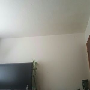 Meet your Posher, Nikolai