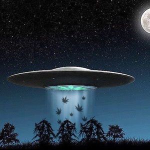 Meet your Posher, Johnny