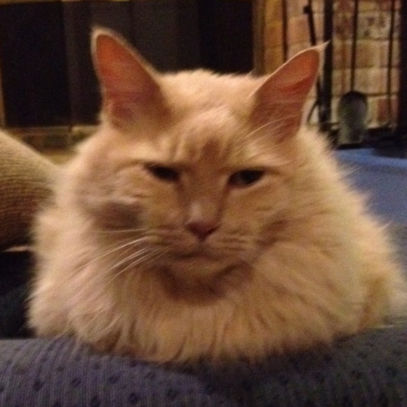 Meet your Posher, S - Picture 1 of 1