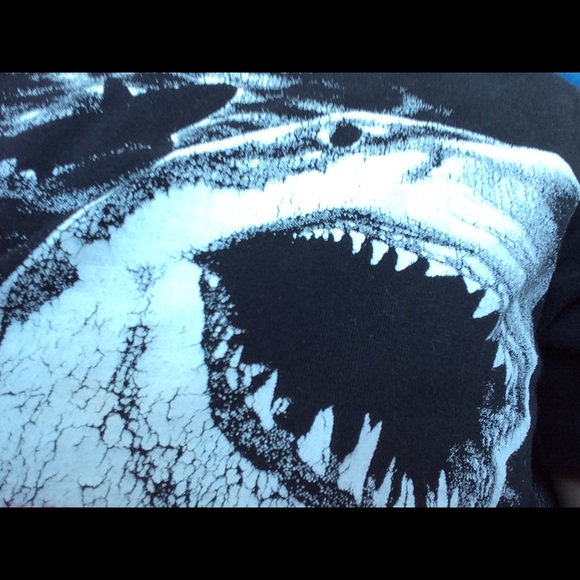 Meet your Posher, Steve - Picture 1 of 1