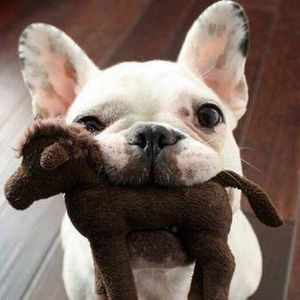 Meet your Posher, Yuri