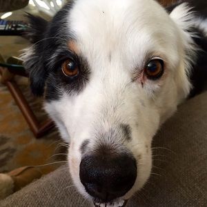 Meet your Posher, Teri