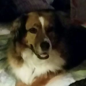 Meet your Posher, Rusty