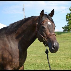 Meet your Posher, Renee