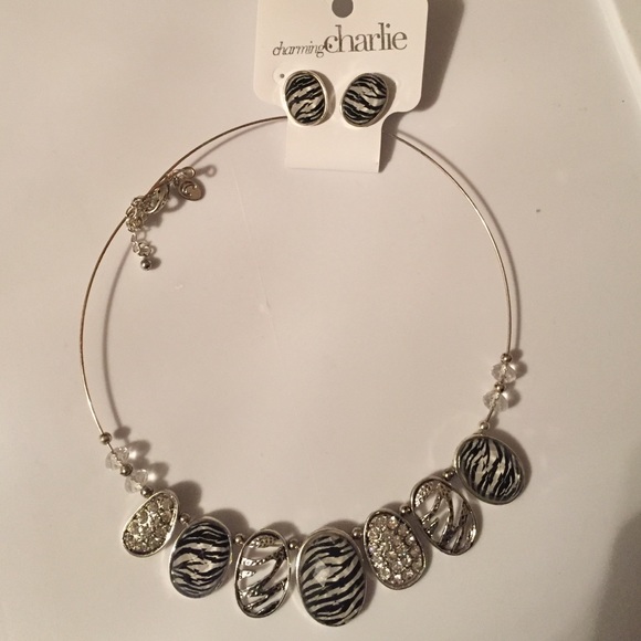Charming Charlie beautiful necklace set