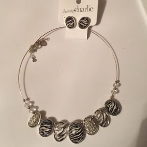 Charming Charlie beautiful necklace set
