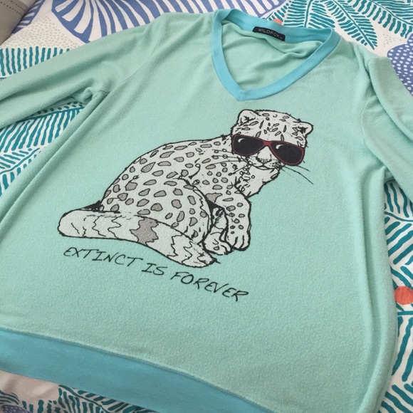 Adorable wildfox sweater