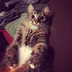 Meet your Posher, Ashley