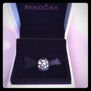 Pandora charm