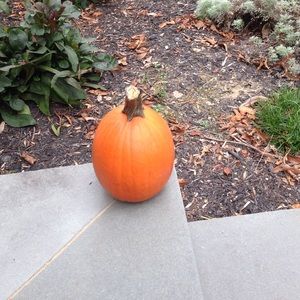 Meet your Posher, Jaime