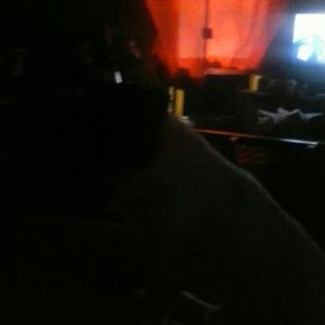 Meet your Posher, Kerry