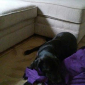 Meet your Posher, Janessa