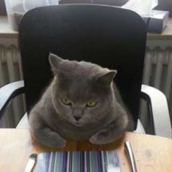 Meet your Posher, Mark - Picture 1 of 1