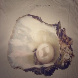 Wildfox the world is your oyster top