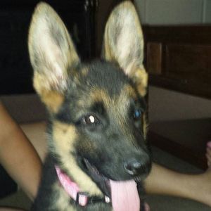 Meet your Posher, Loretta