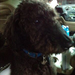 Meet your Posher, Claire