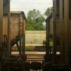 Meet your Posher, Amelia