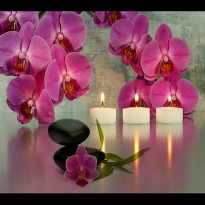 Meet your Posher, Marie