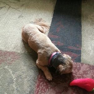 Meet your Posher, Melanie