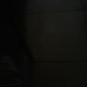 Meet your Posher, Allen