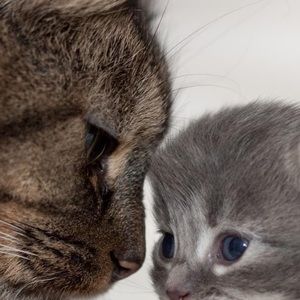 Meet your Posher, Aimee