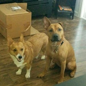 Meet your Posher, Jordan