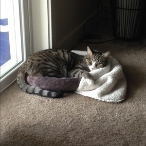 Meet your Posher, Elise