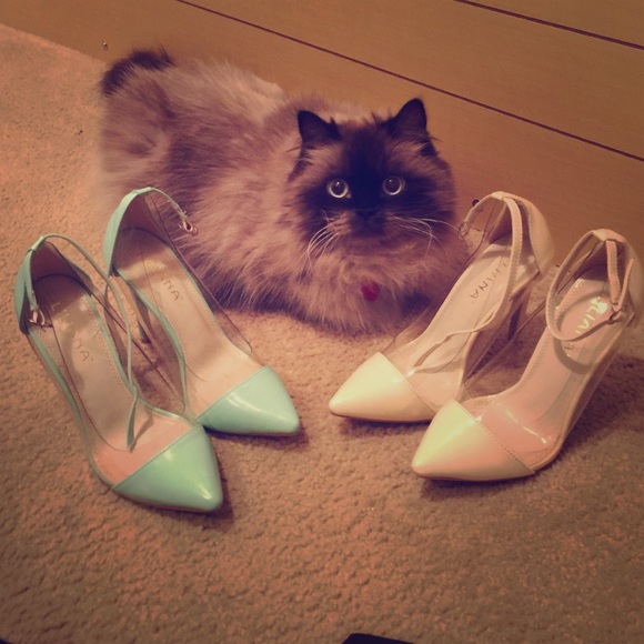 Off White, Mint, Leopard, & Blue (not red)