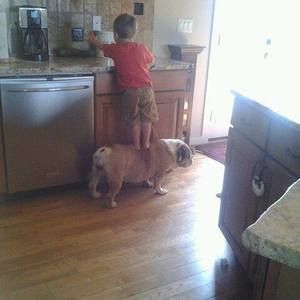 Meet your Posher, Anjee