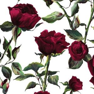 Meet your Posher, Christy