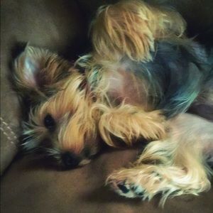 Meet your Posher, Alyssa