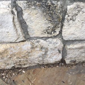 Meet your Posher, Felicia