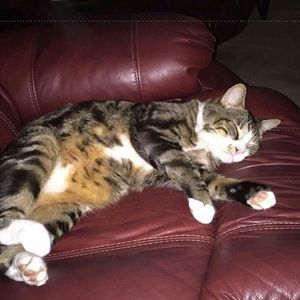 Meet your Posher, Laurie