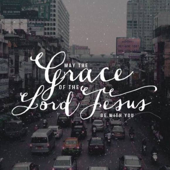 Meet your Posher, Lilly - Picture 1 of 1