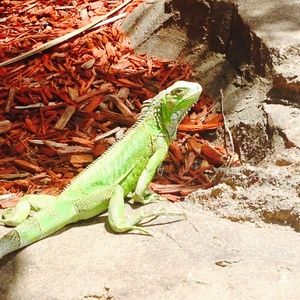 Meet your Posher, Robin