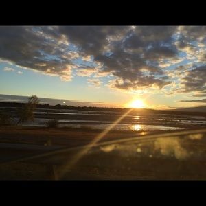 Meet your Posher, Brita