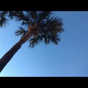 Meet your Posher, Callie