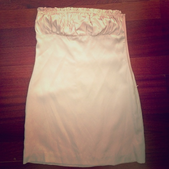 Graham and Spencer Light Pink Silk Strapless Dress